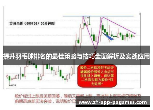 提升羽毛球排名的最佳策略与技巧全面解析及实战应用