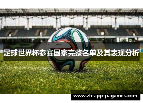 足球世界杯参赛国家完整名单及其表现分析