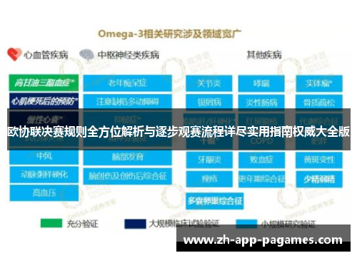 欧协联决赛规则全方位解析与逐步观赛流程详尽实用指南权威大全版